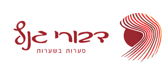 דבורי גנץ